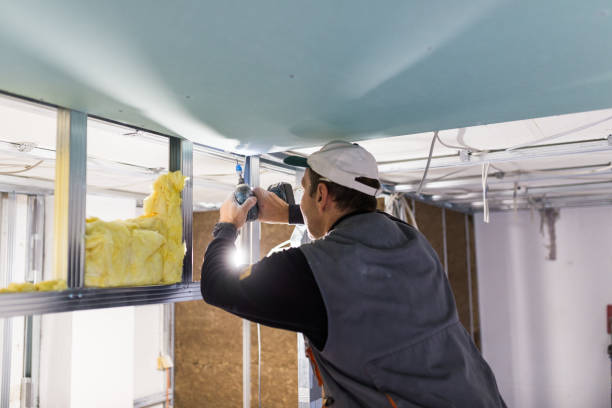 Best Soundproof Insulation Installation  in Clarksdale, MS