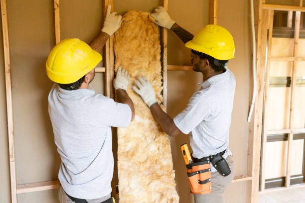 Best Affordable Insulation Services  in Clarksdale, MS