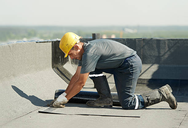 Best Commercial Insulation Contractor  in Clarksdale, MS