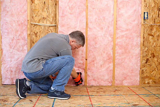 Best Insulation for New Construction  in Clarksdale, MS