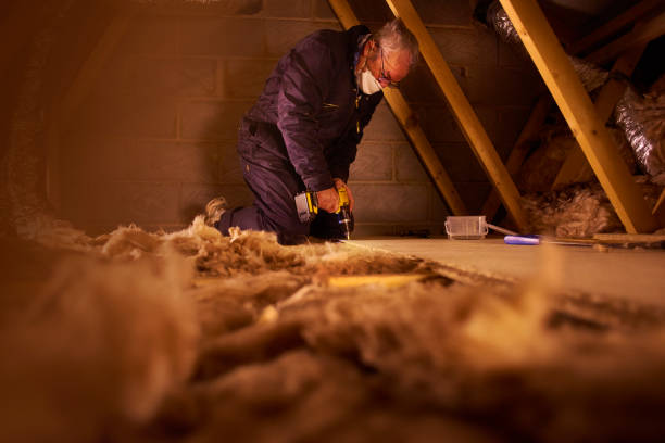 Best Attic Insulation Installation  in Clarksdale, MS